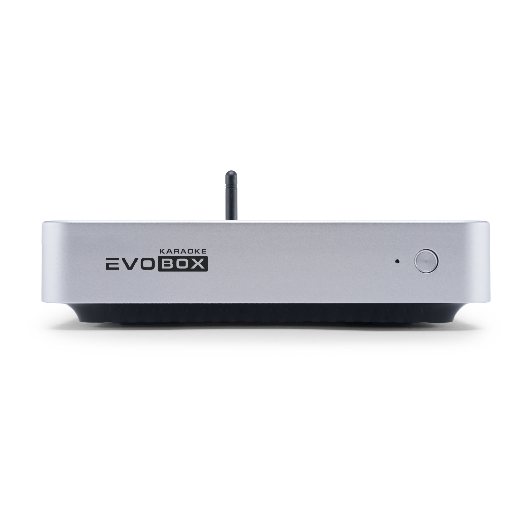 Караоке-система Evolution EVOBOX Classic Silver - 2