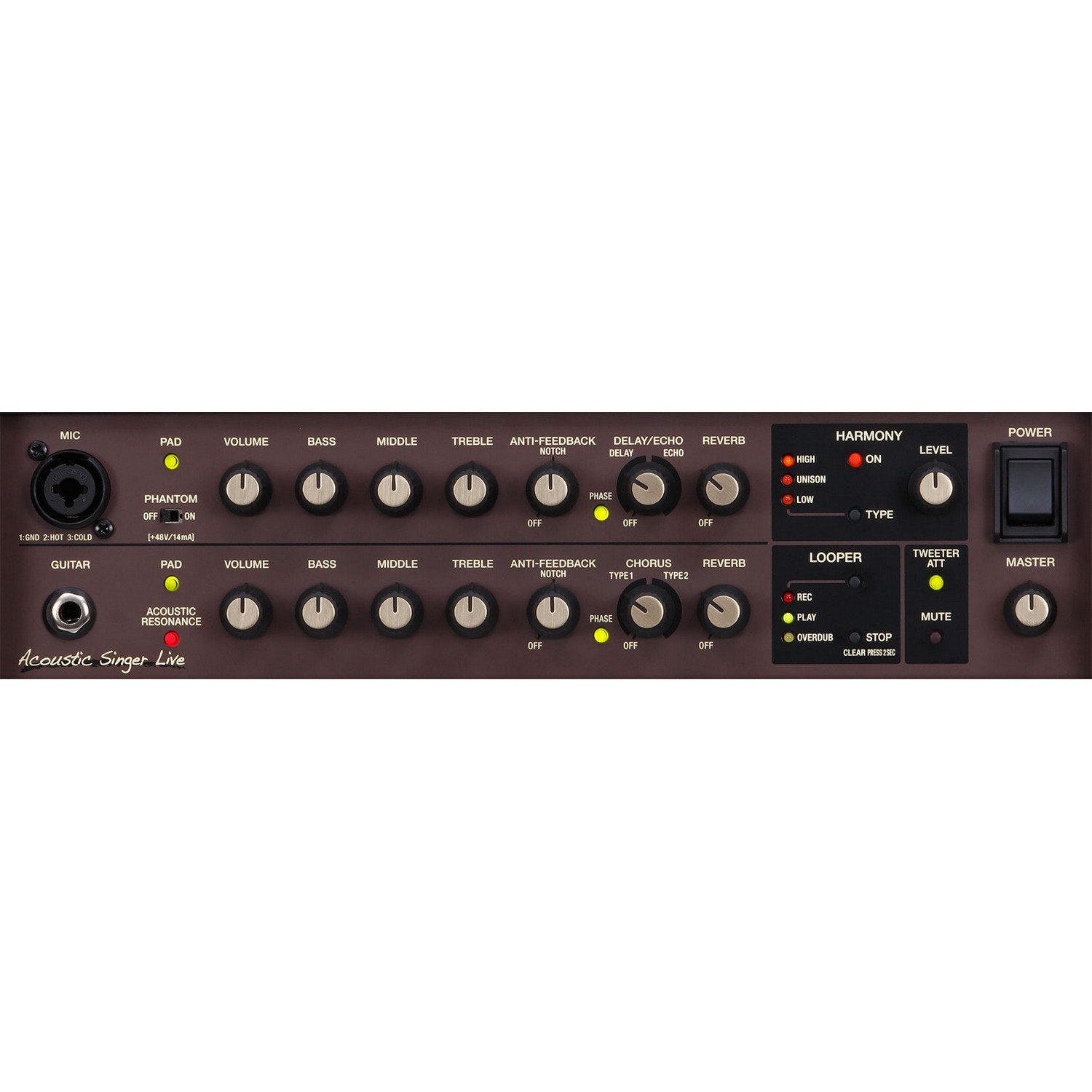 Комбоусилитель Boss ACS-LIVE - 17