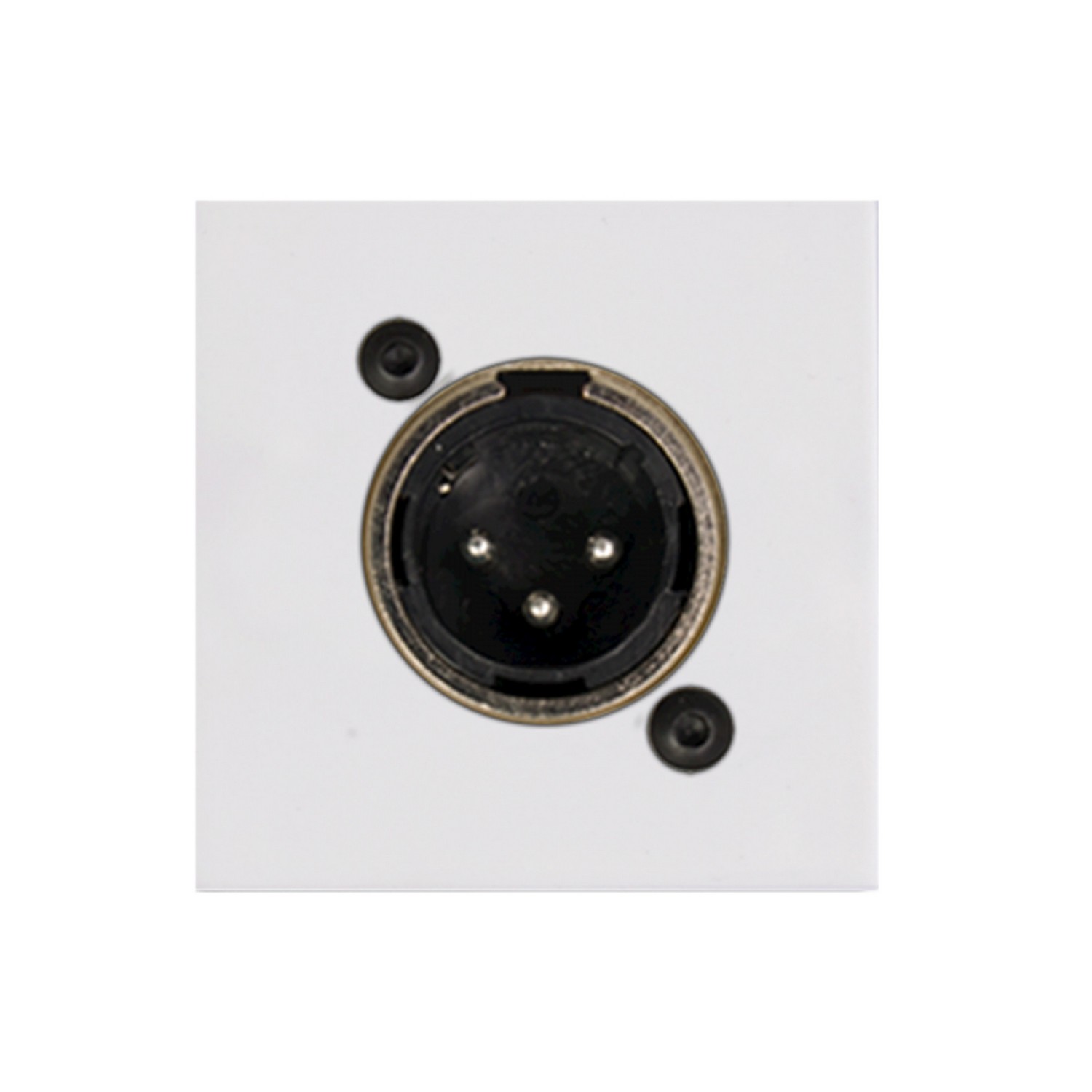 Модуль настенной панели AUDAC CP45XLMS/W - 5