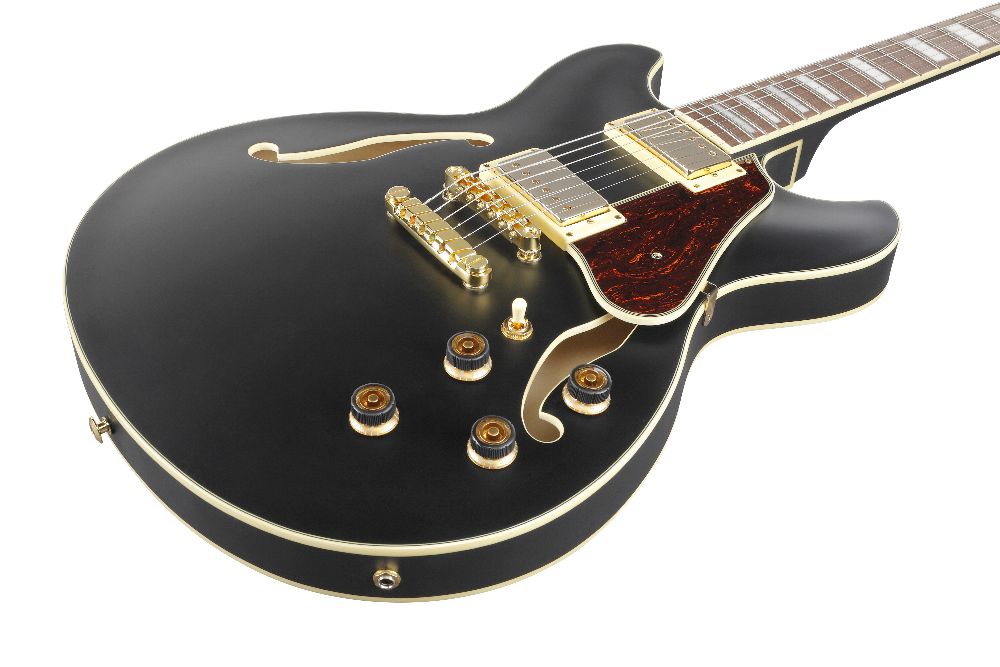 Электрогитара Ibanez AS73G-BKF, Черный - 14