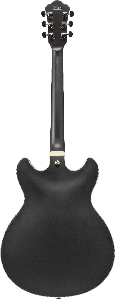 Электрогитара Ibanez AS73G-BKF, Черный - 10