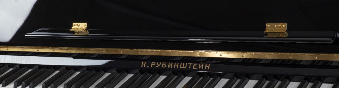 Акустическое пианино Н. Рубинштейн НР-121 - 8