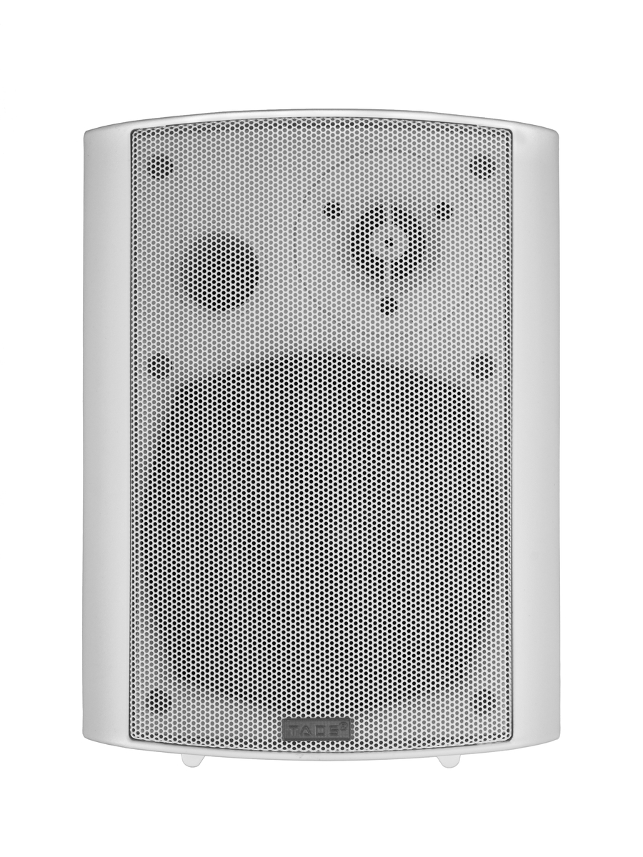 Громкоговоритель настенный TADS DS-502-WHITE - 2
