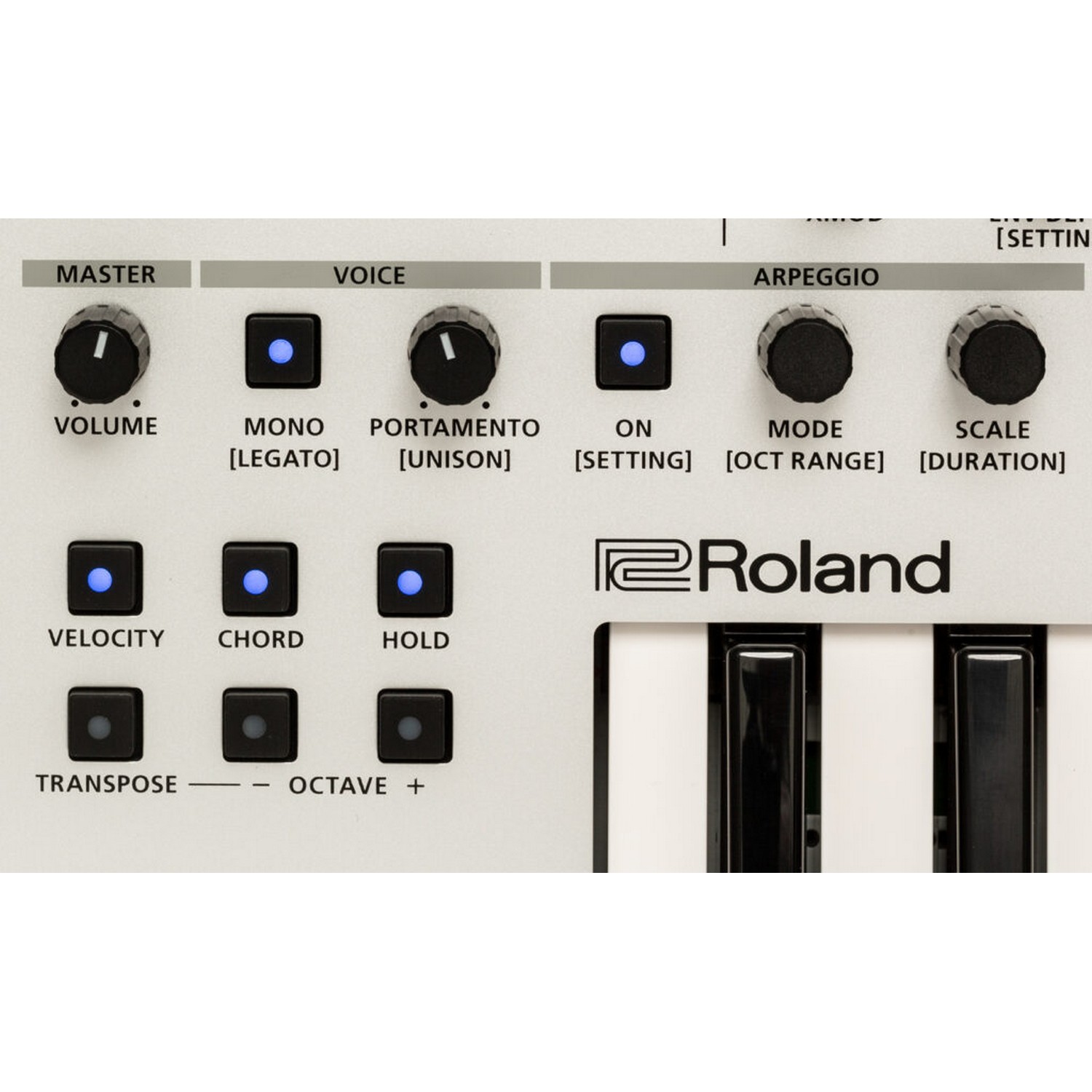 Синтезатор Roland GAIA-2 - 22