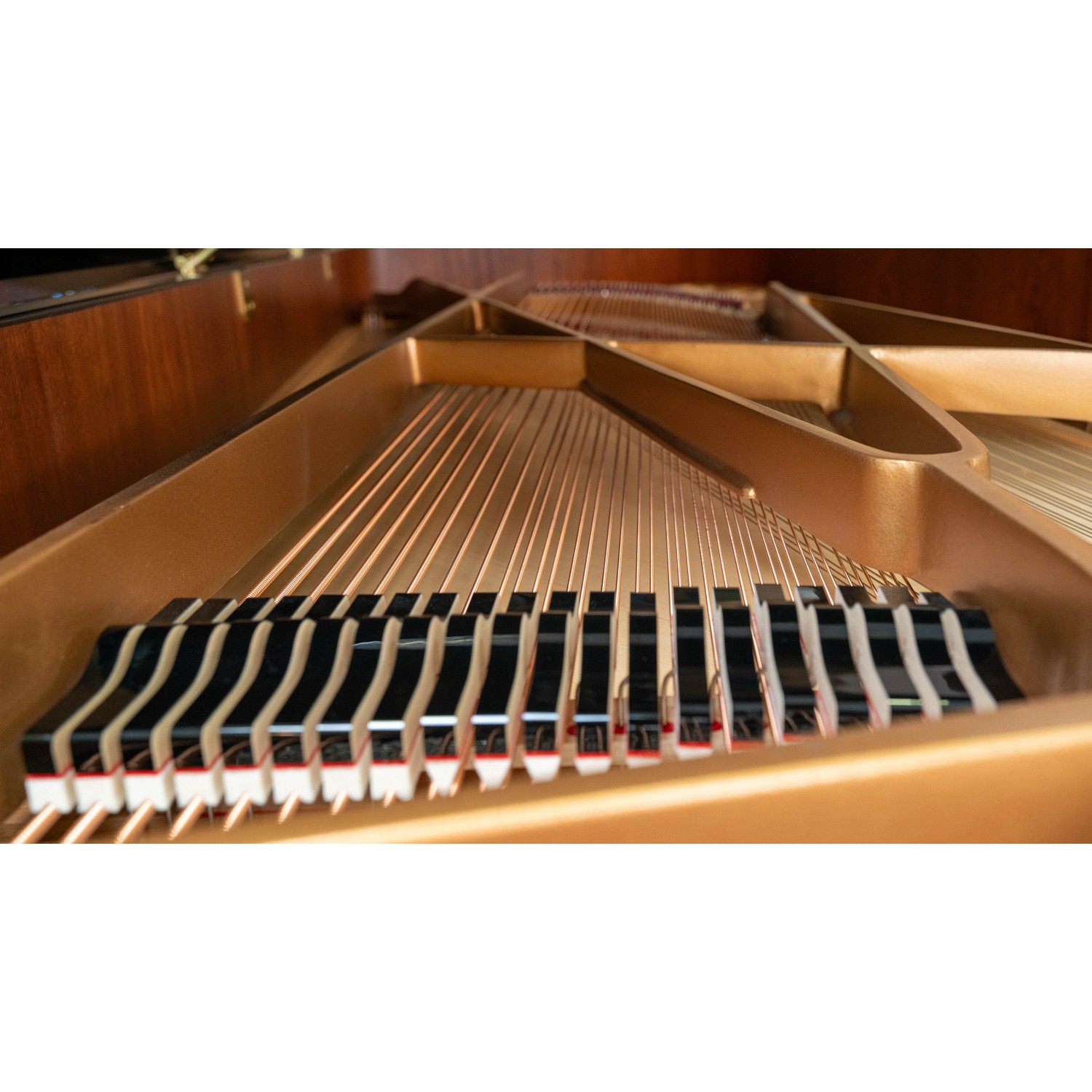 Акустический концертный рояль Kayserburg KA 275 - 15