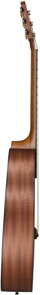 Акустическая гитара Baton Rouge X11C/F - 9