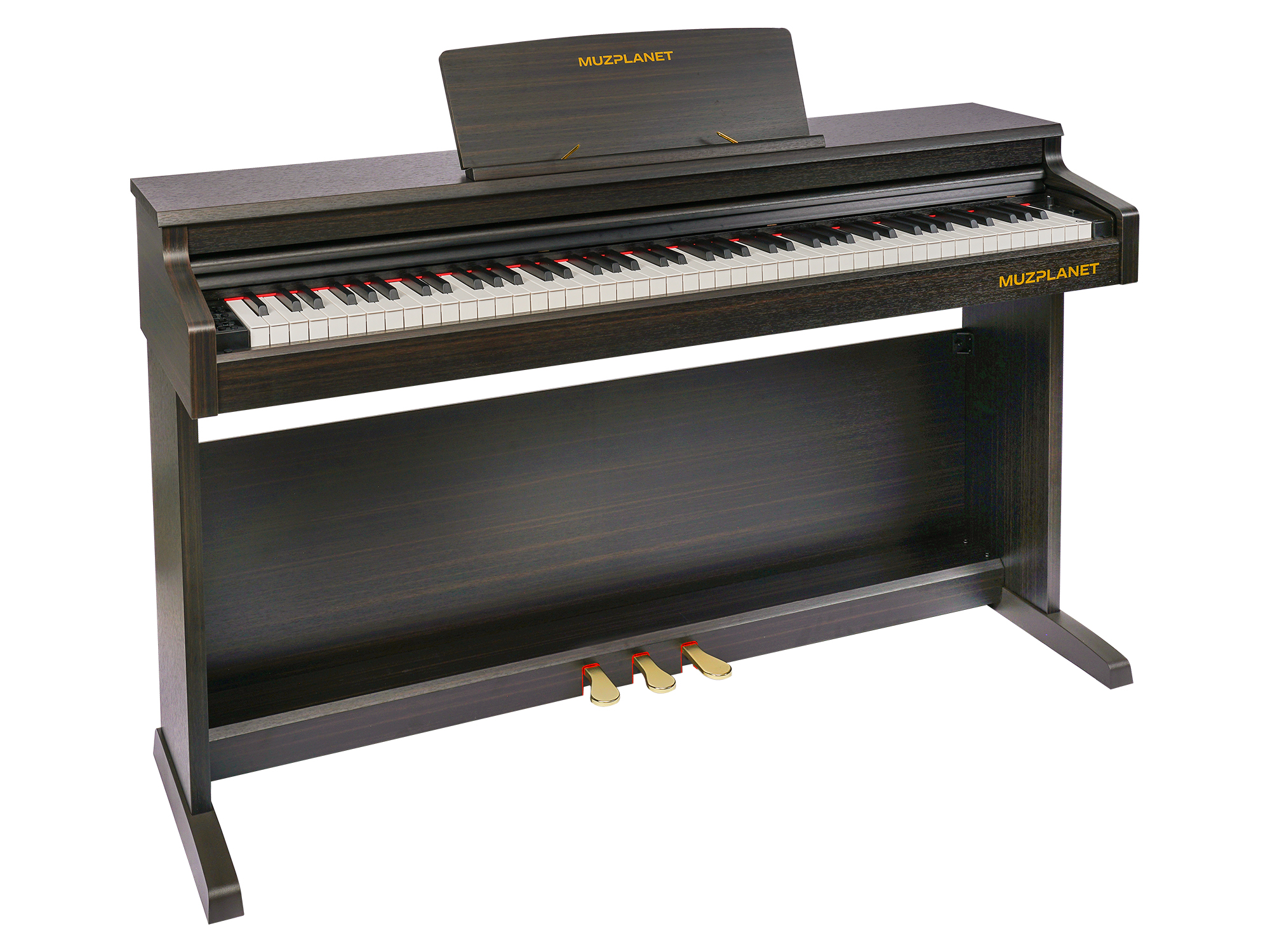 Цифровое пианино MUZPLANET YDP-145R - 15