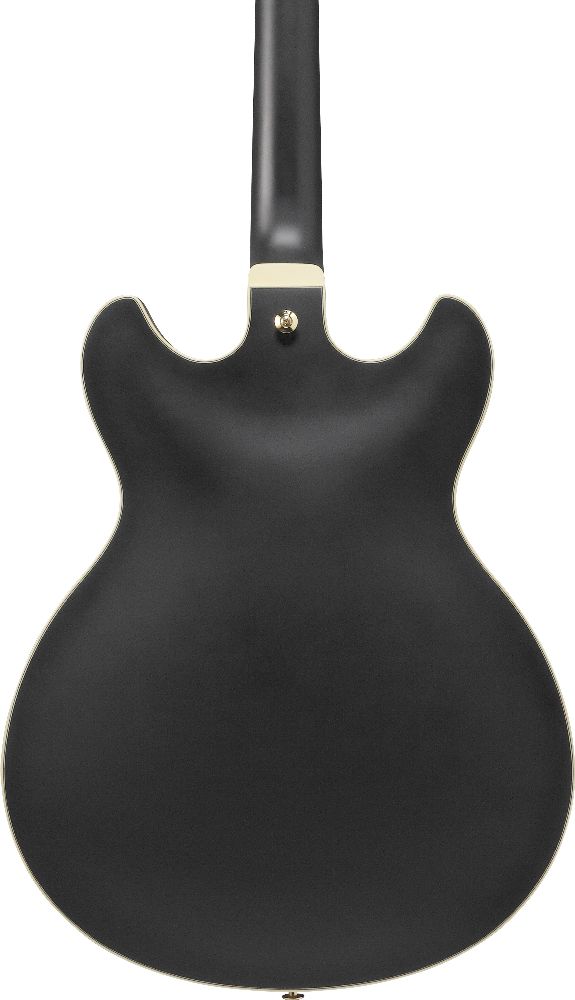Электрогитара Ibanez AS73G-BKF, Черный - 12