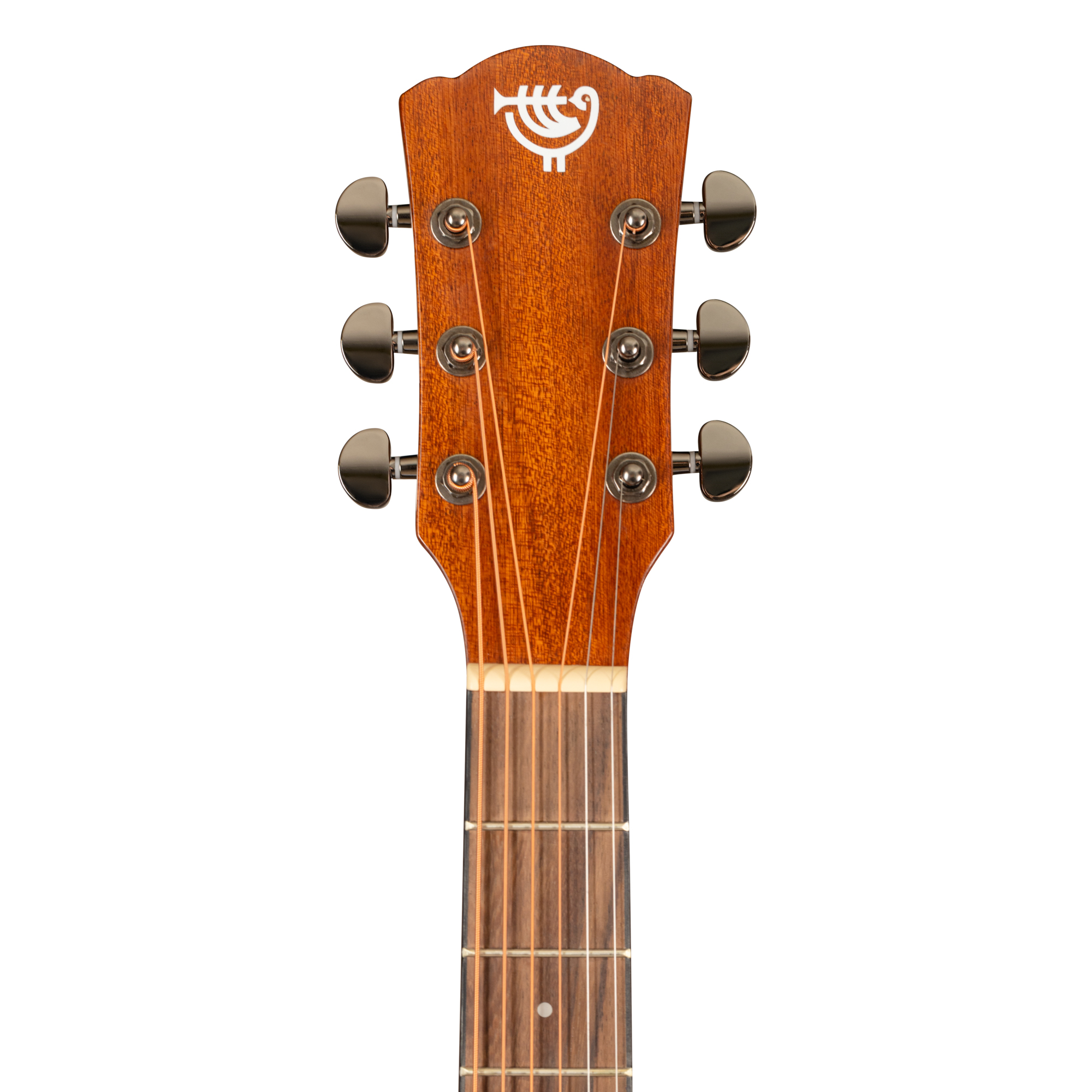 Акустическая гитара Rockdale Aurora D6 C All-Mah Gloss - 19