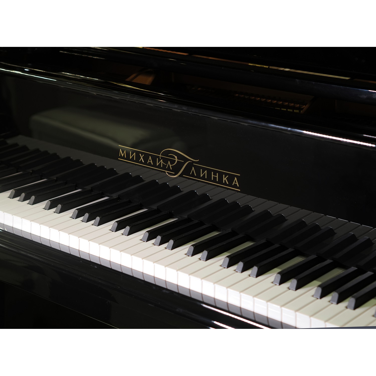 Акустический рояль Михаил Глинка T-221 черный, полированный - 10