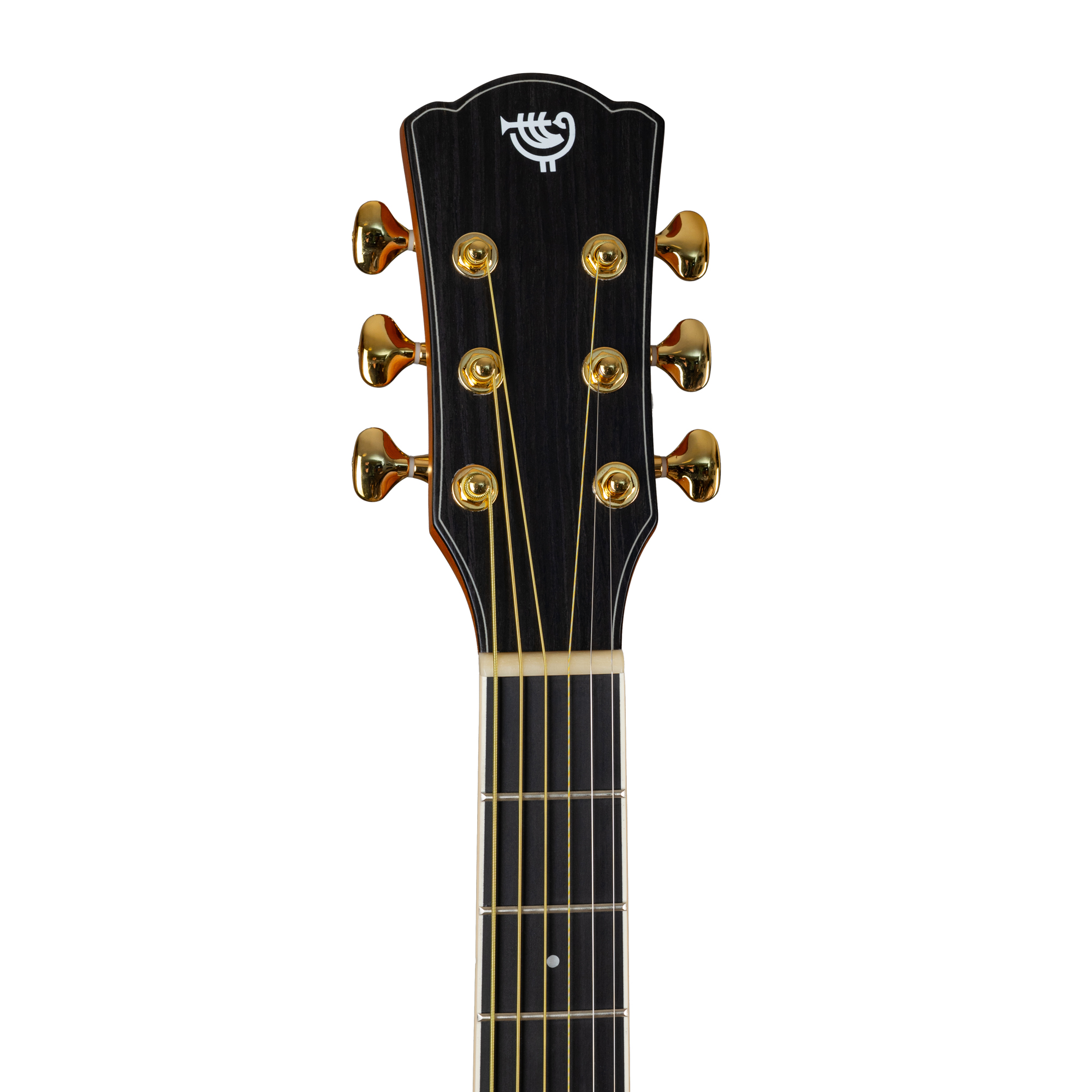 Акустическая гитара Rockdale Aurora D7 C Bk Satin, Черный - 19
