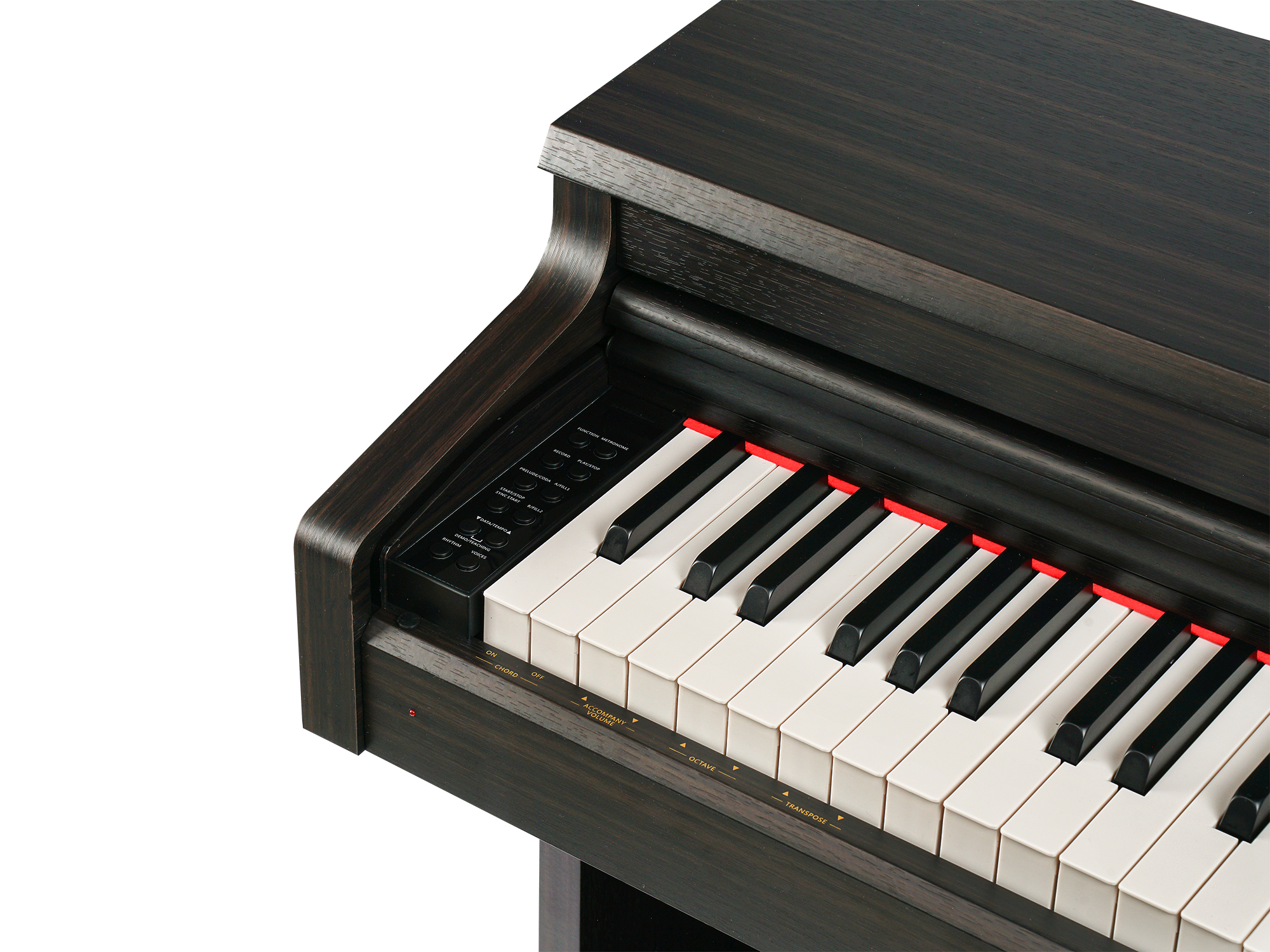 Цифровое пианино MUZPLANET YDP-145R - 20