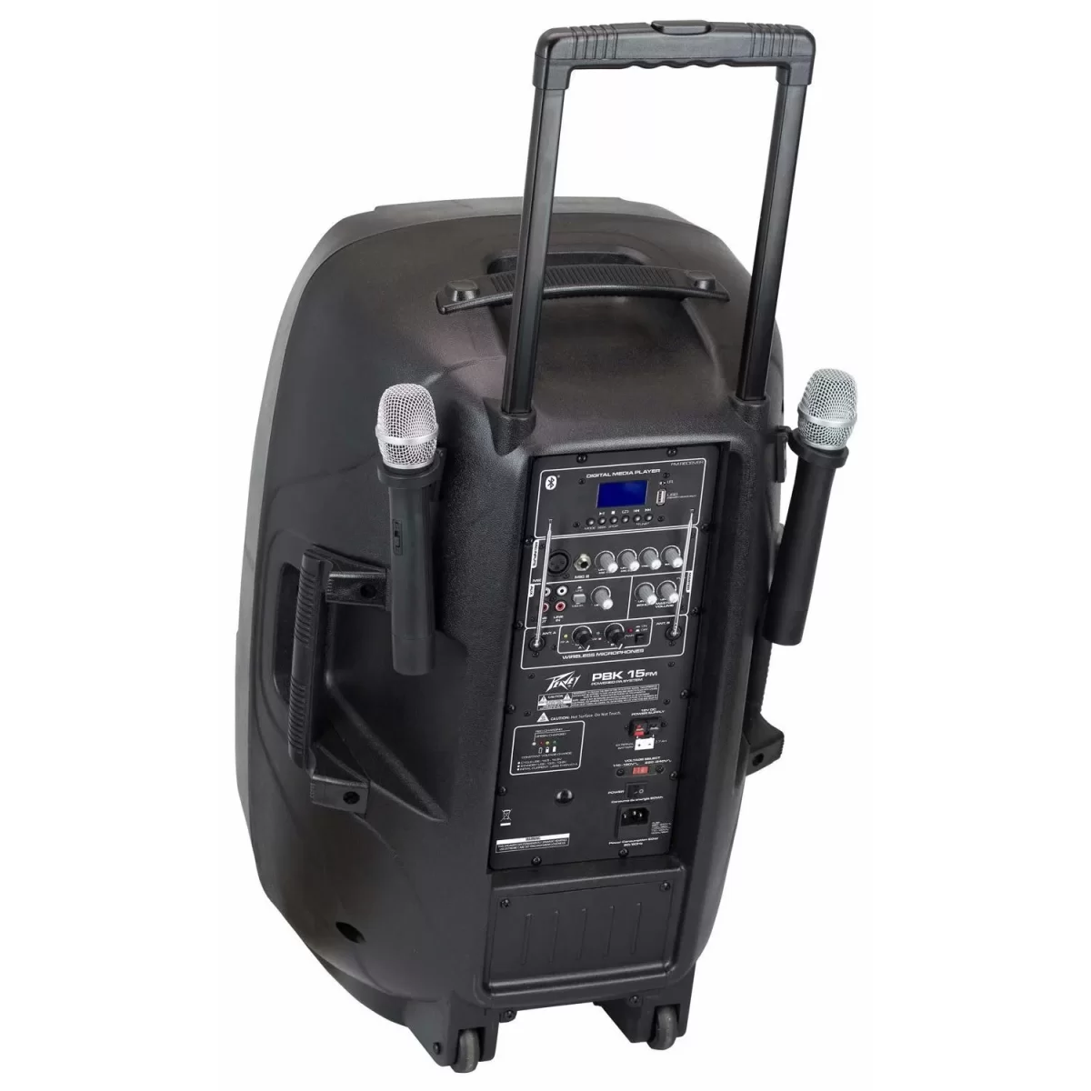 Портативная акустическая система Peavey PBK 15FM - 10