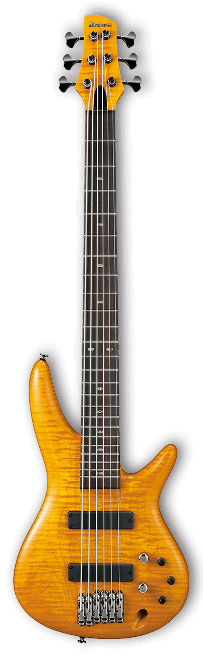 Бас-гитара Ibanez GVB1006-AM - 2