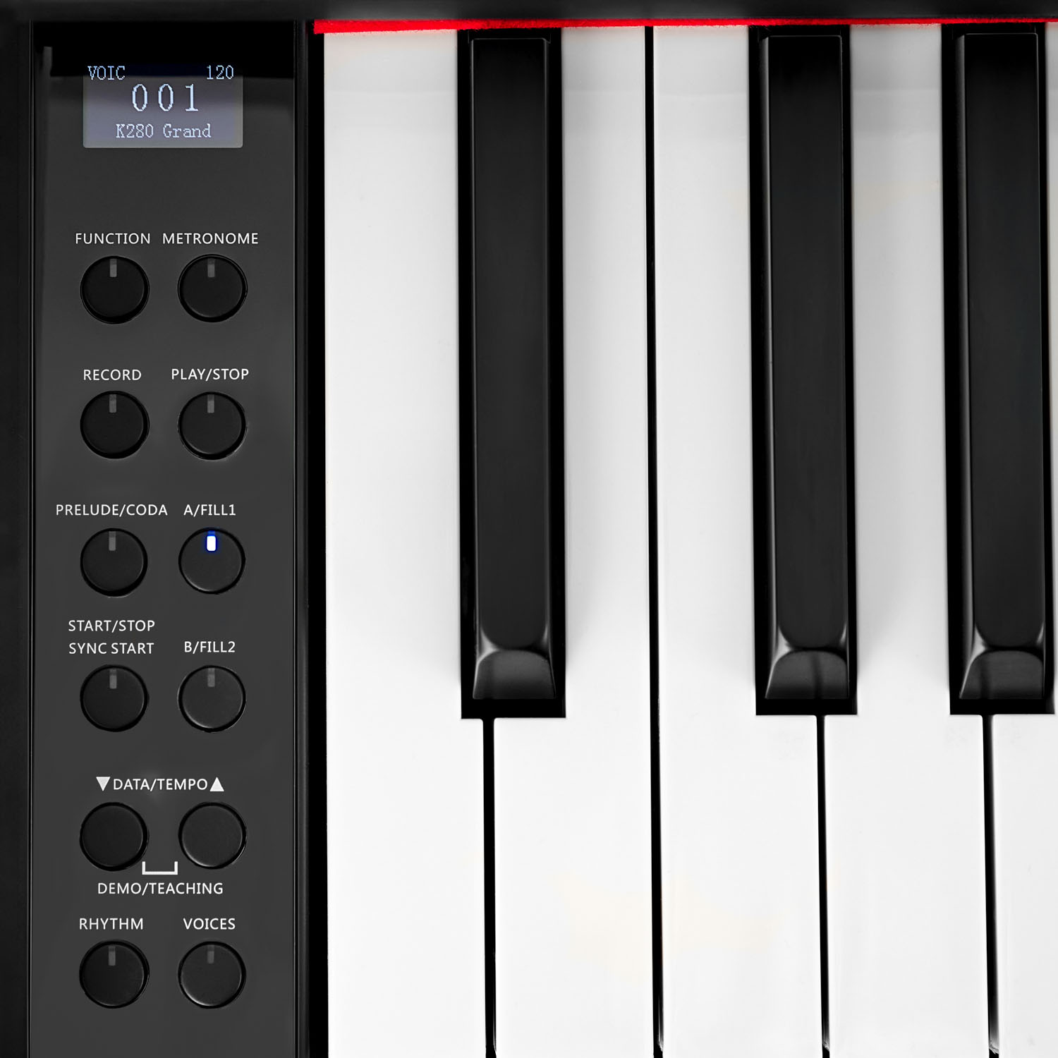 Цифровое пианино MUZPLANET YDP-145R - 23