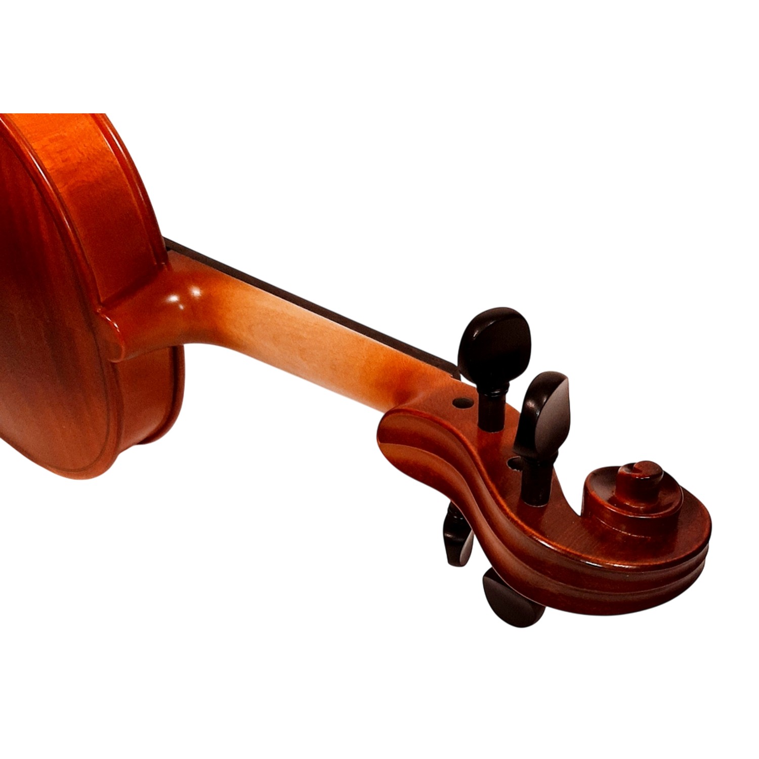 Скрипка GEWA Violin Outfit Europa 10 4/4 - 17