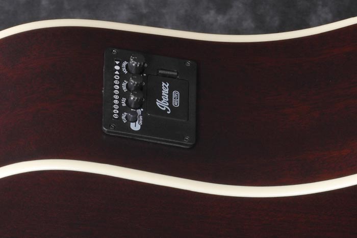Акустическая гитара Ibanez Aad50Ce-Lg - 13