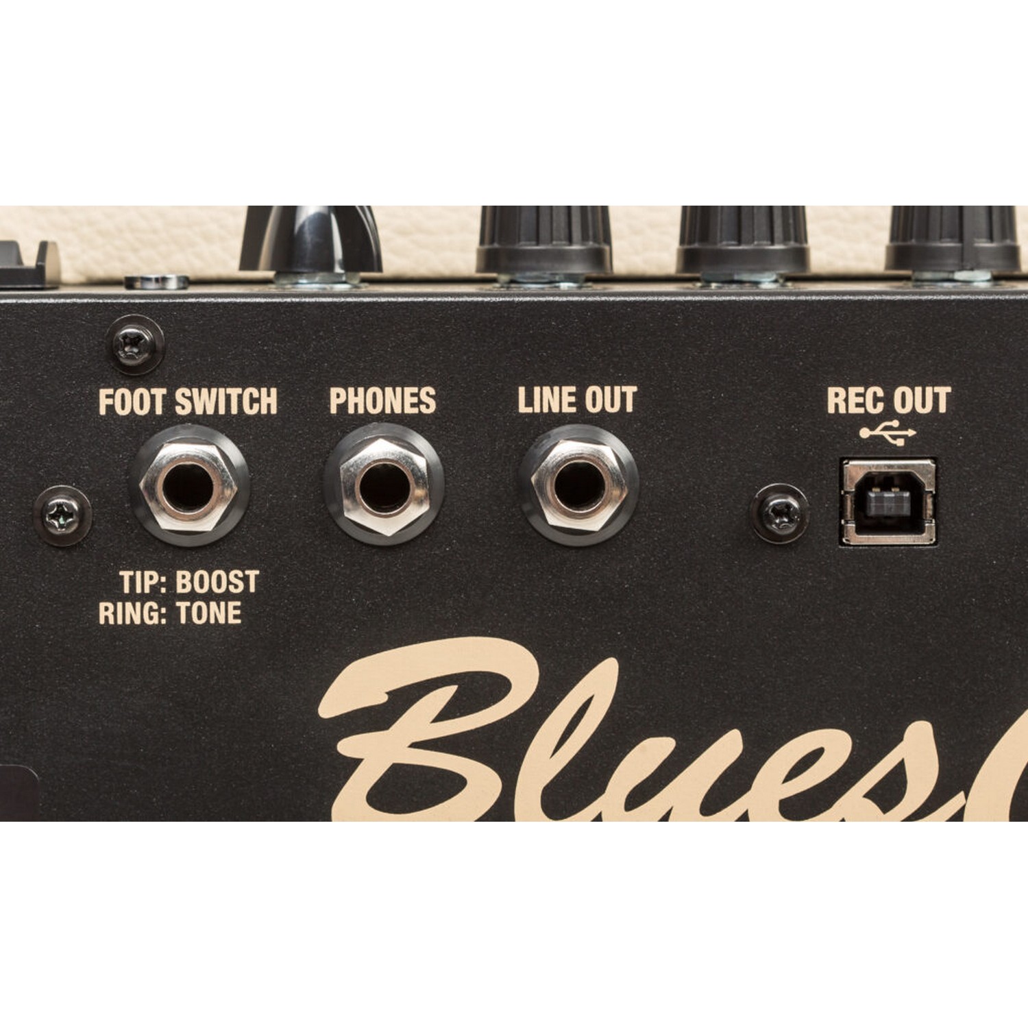 Комбоусилитель Roland BC-HOT-VB - 24