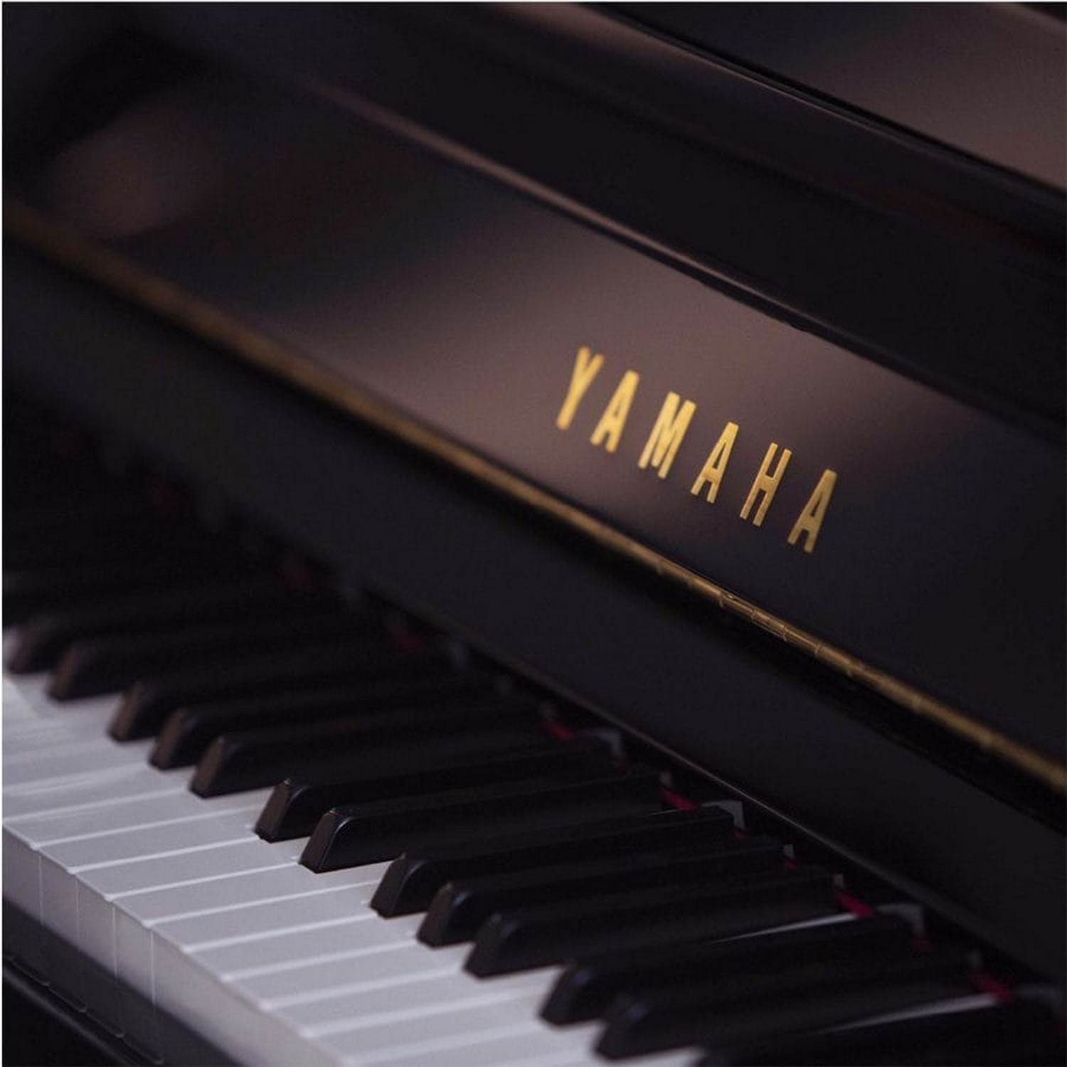 Гибридное сайлент пианино Yamaha YU1X SC3 PE - 7