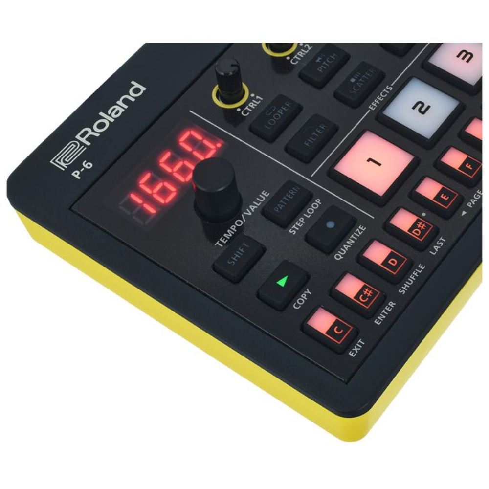 Сэмплер Roland P-6 - 19