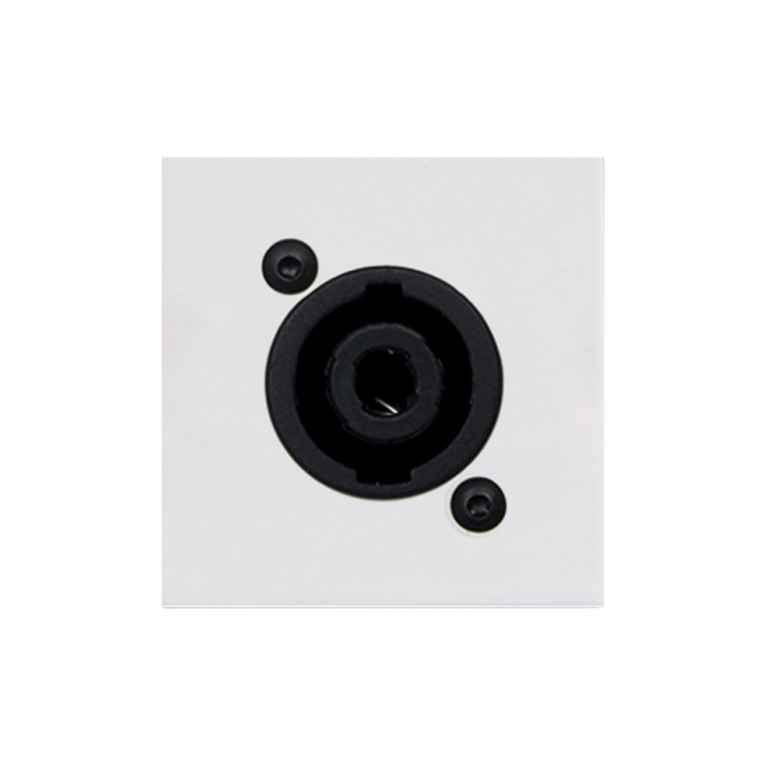 Модуль настенной панели AUDAC CP45SPES/W - 4