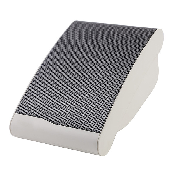 Настенный громкоговоритель LAudio LASW610 - 2