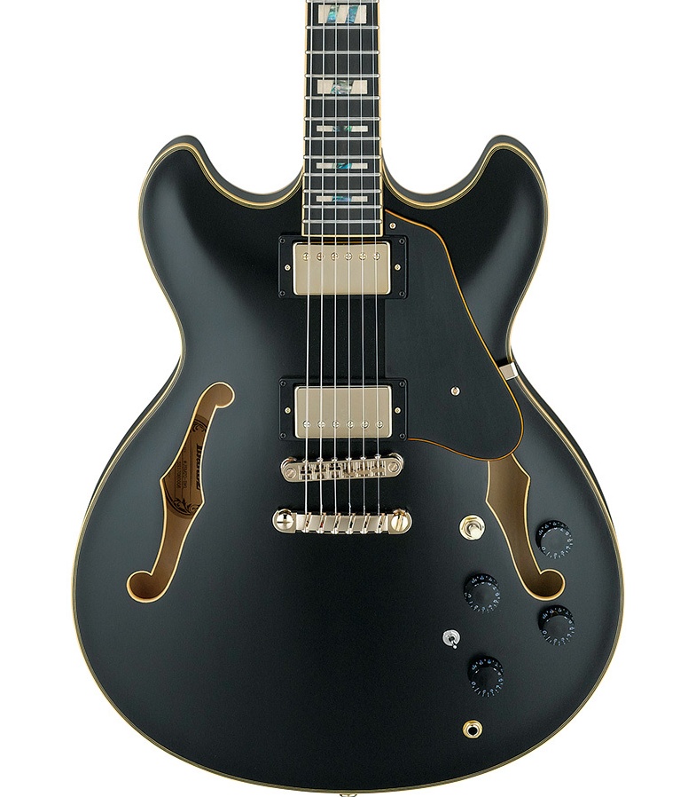 Электрогитара Ibanez JSM20-BKL - 5