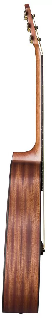 Акустическая гитара Baton Rouge X11C/D - 9