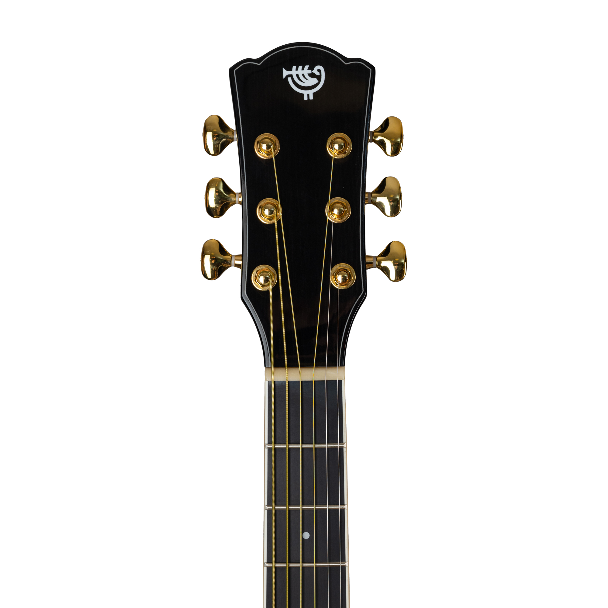Акустическая гитара Rockdale Aurora D7 C Bk Gloss - 19