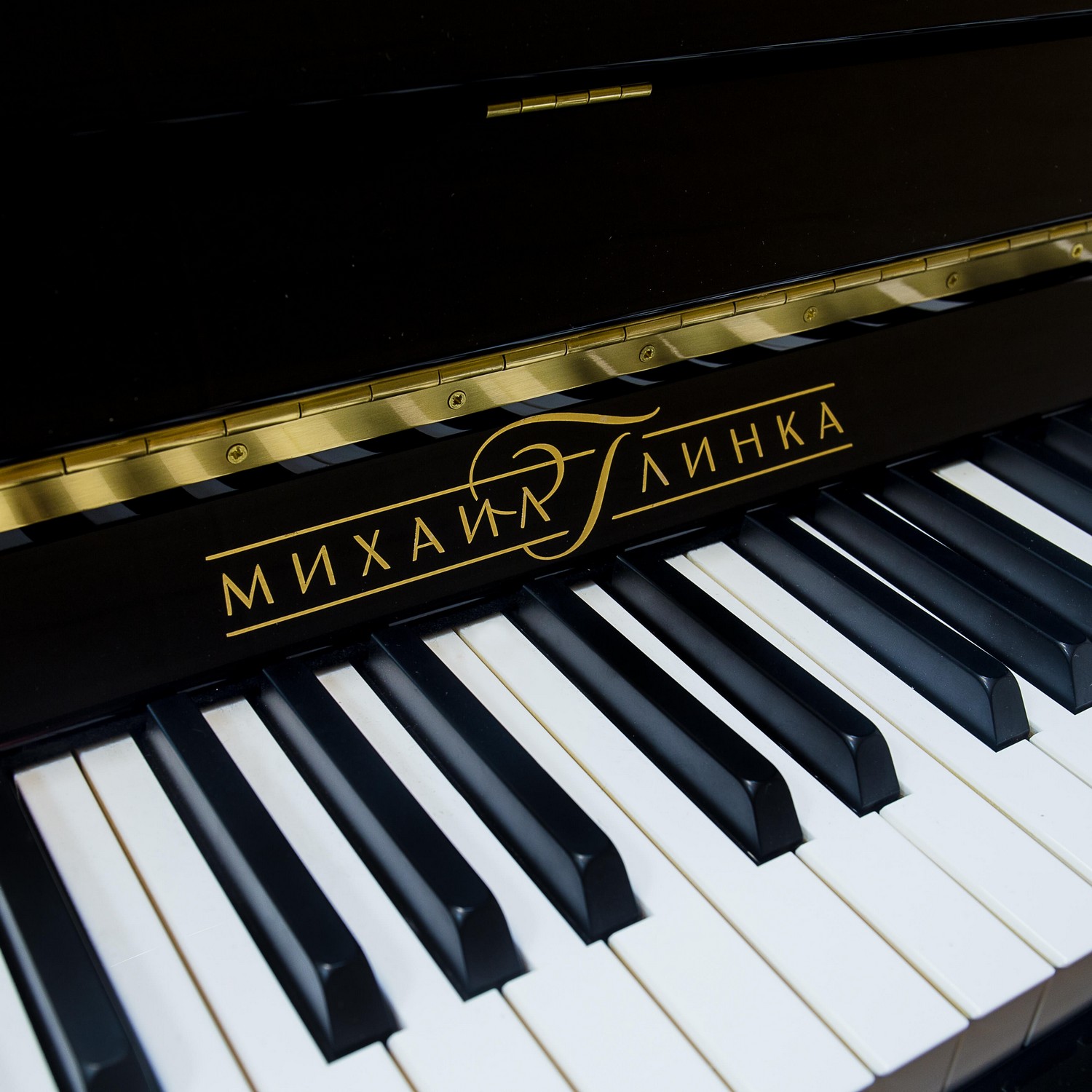 Акустическое пианино Михаил Глинка Композитор, черное, полированное - 18