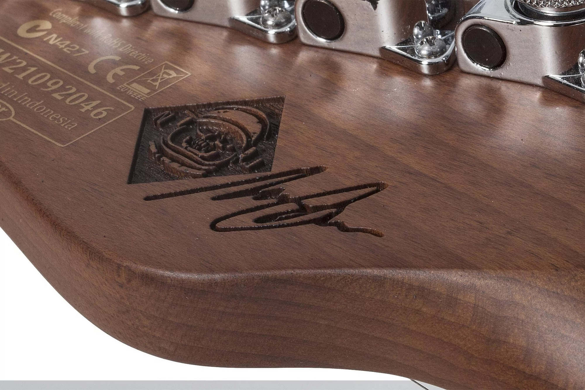 Электрогитара Schecter NICK JOHNSTON PT A.INK - 18