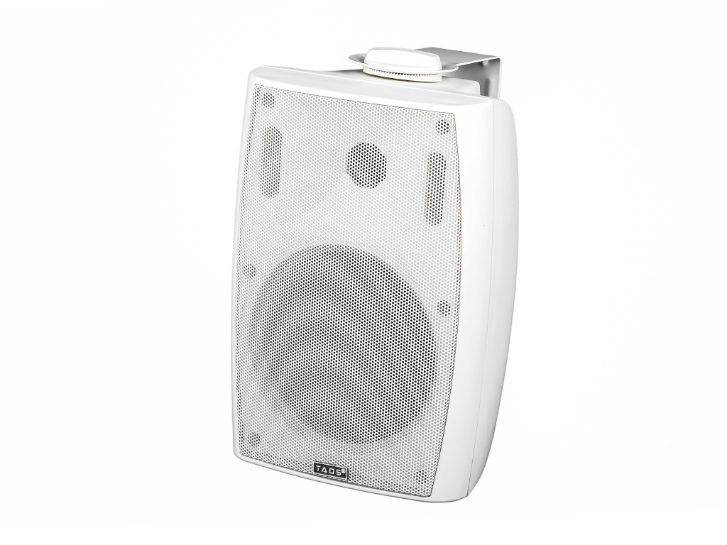 Громкоговоритель настенный TADS DS-551K-WHITE - 2