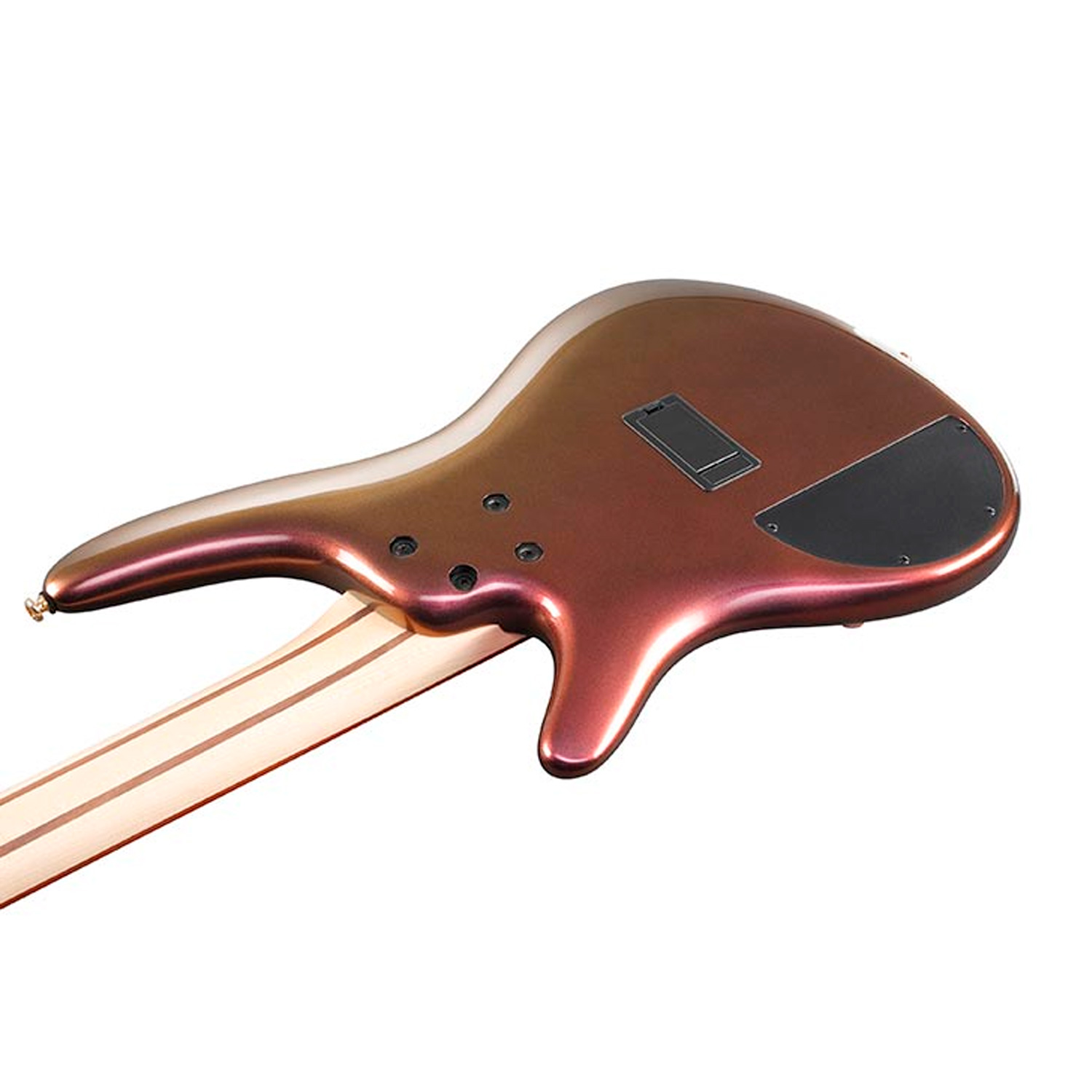 Бас-гитара Ibanez SR305EDX-RGC - 7