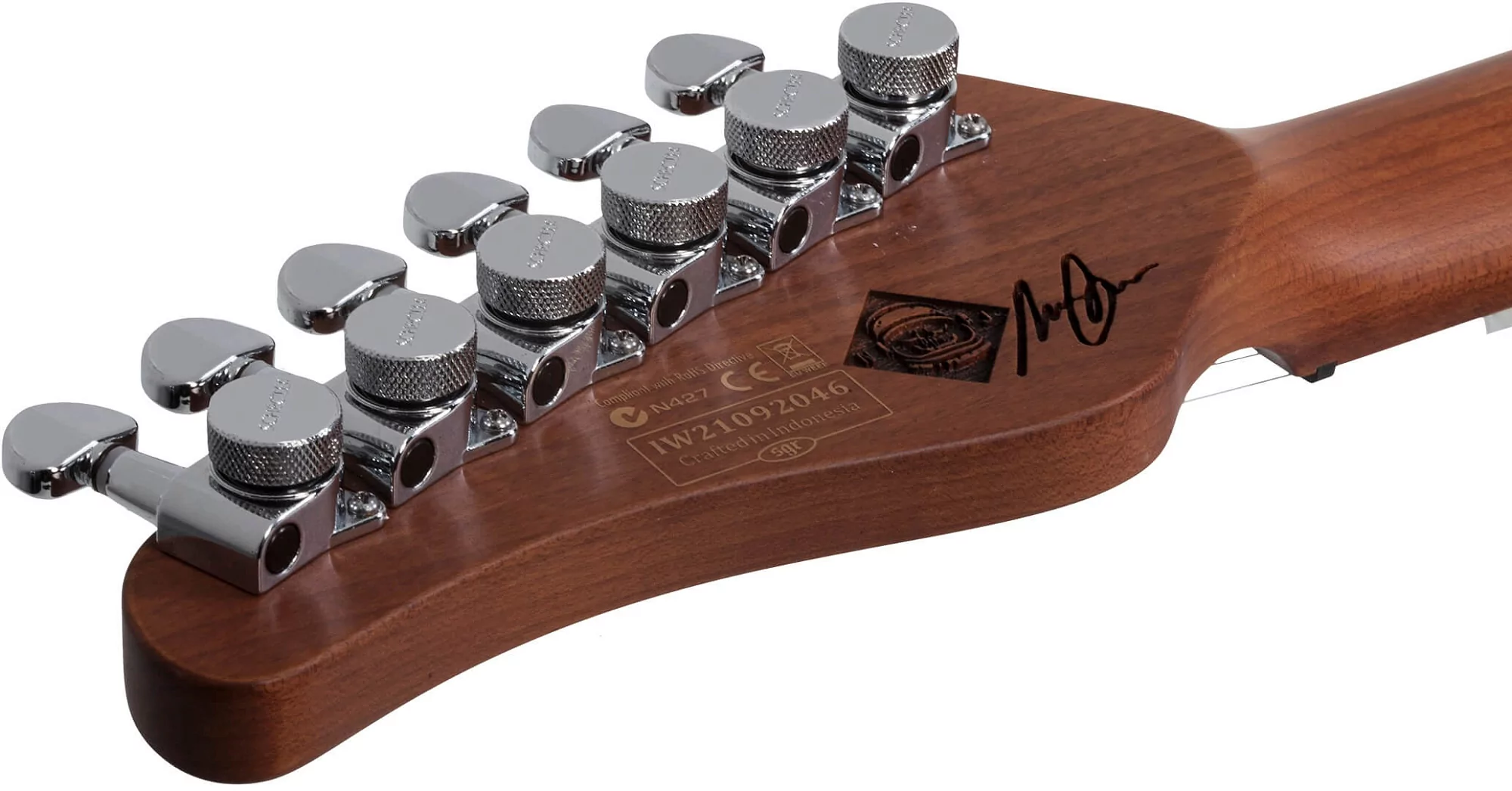 Электрогитара Schecter NICK JOHNSTON PT A.INK - 17