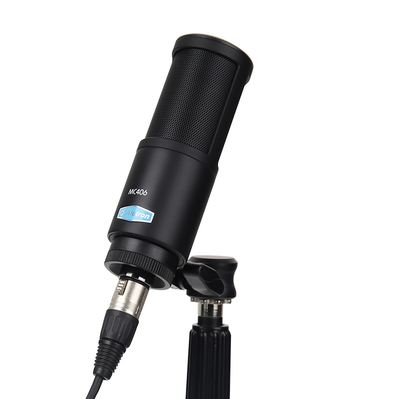 Микрофон конденсаторный Alctron MC-406 - 2