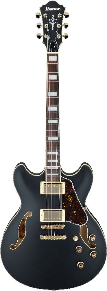 Электрогитара Ibanez AS73G-BKF, Черный - 9
