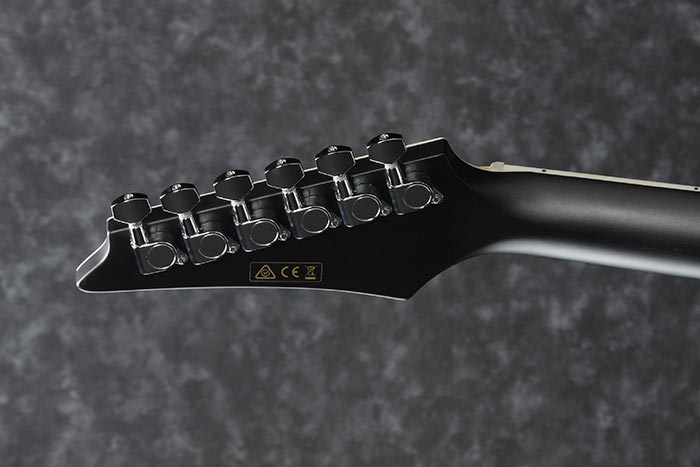 Акустическая гитара Ibanez ALT30-BKM - 9