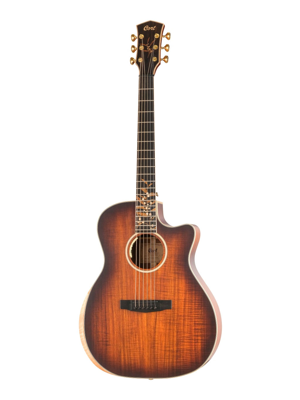 Электроакустическая гитара Cort TheBlackTree-LE-WCASE-LBS - 2