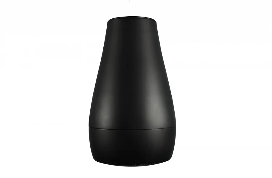 Подвесной громкоговоритель Biamp (Apart Audio) P6 Black - 2