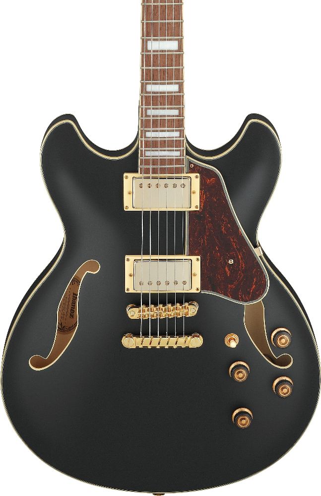 Электрогитара Ibanez AS73G-BKF, Черный - 13