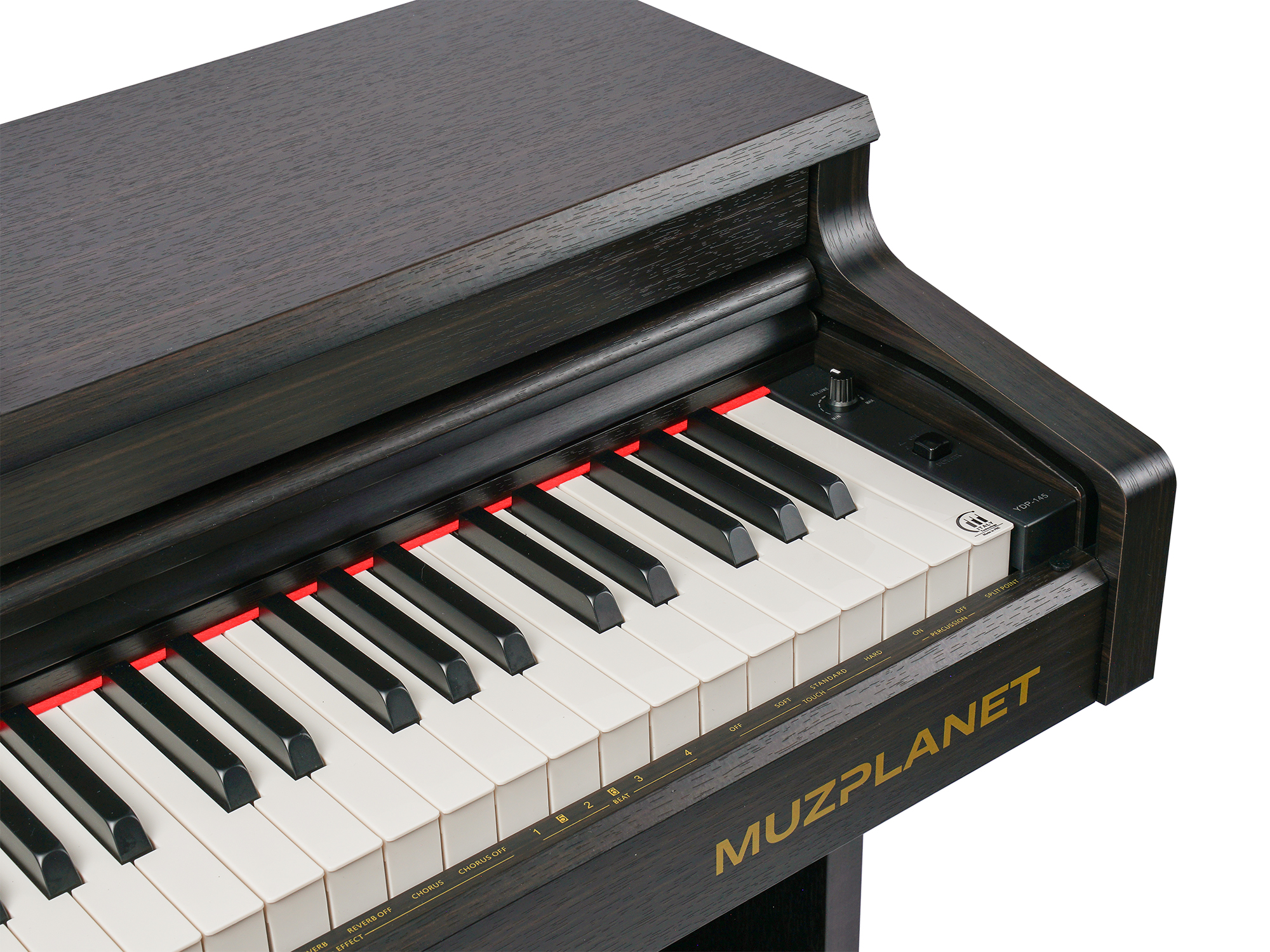 Цифровое пианино MUZPLANET YDP-145R - 22