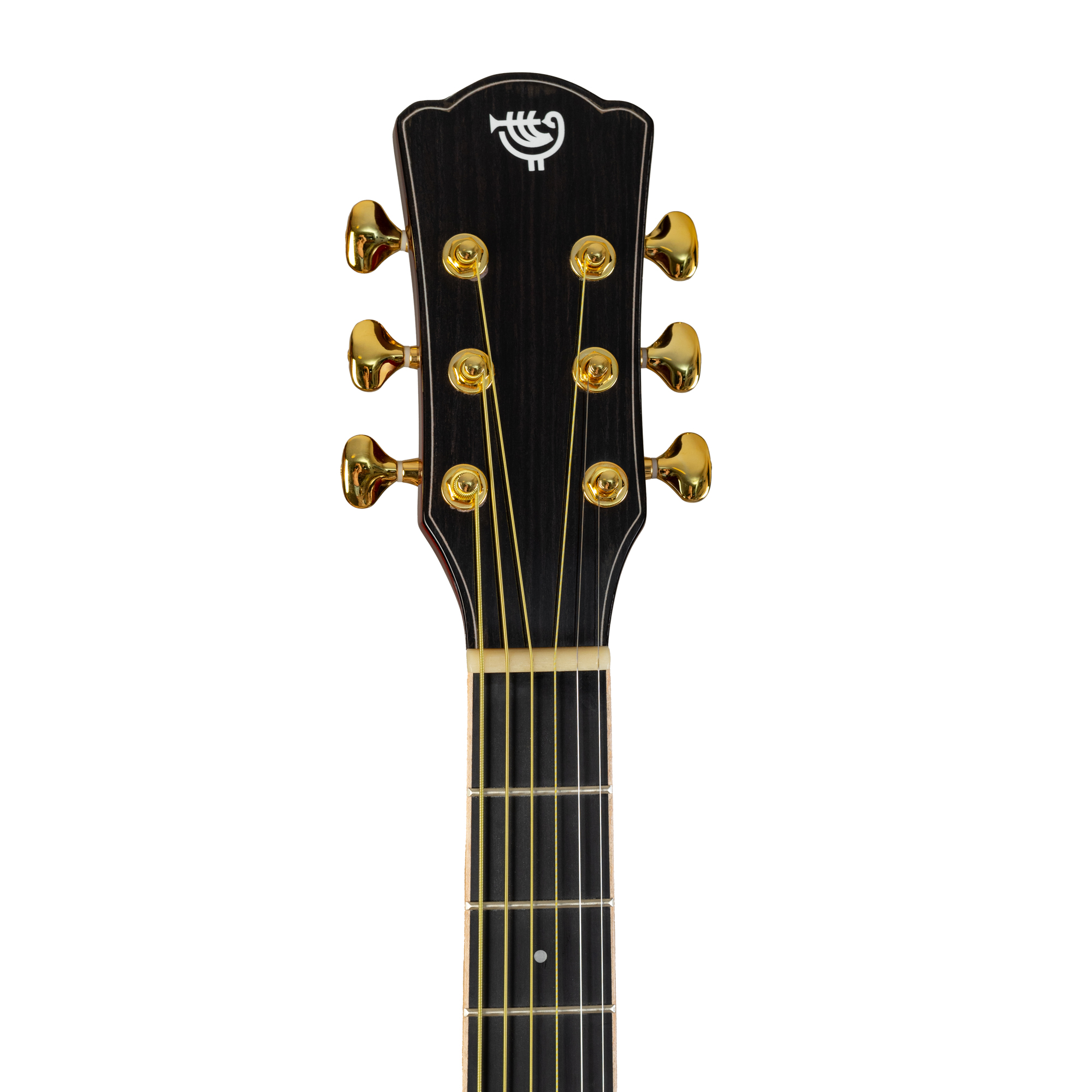 Акустическая гитара Rockdale Aurora D7 Koa Asb, Koa Asb - 19