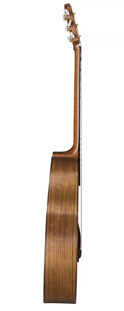 Акустическая гитара Baton Rouge AR31S/JC-AM - 9