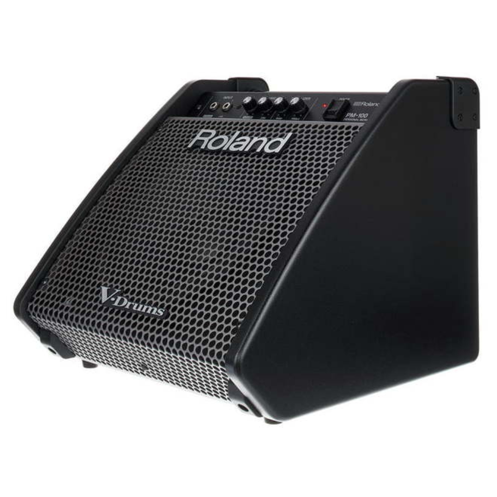 Персональный аудиомонитор Roland PM-100 - 14