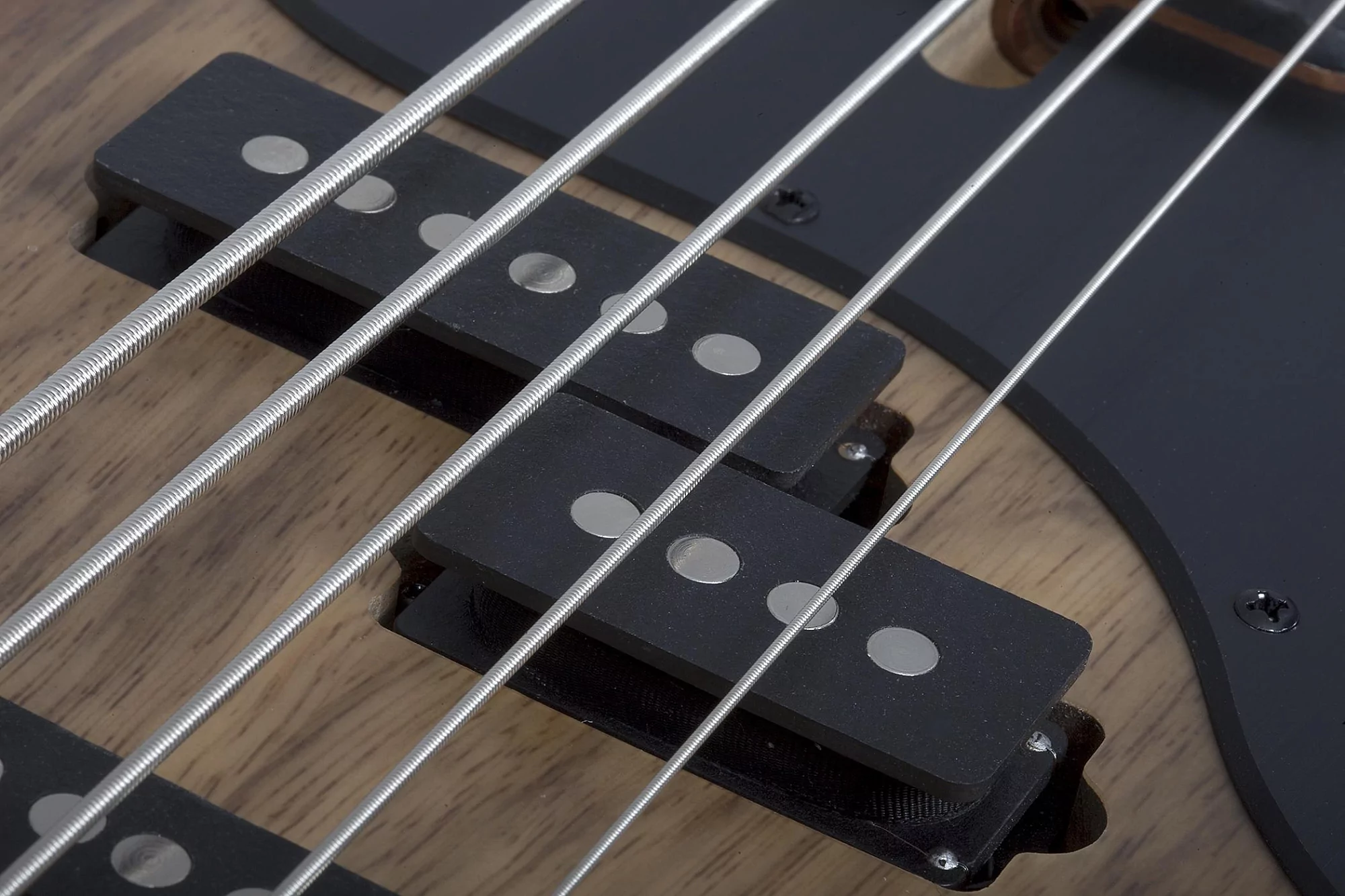 Бас-гитара Schecter MODEL-T 5 EXOTIC BLACK LIMBA Blue - 24