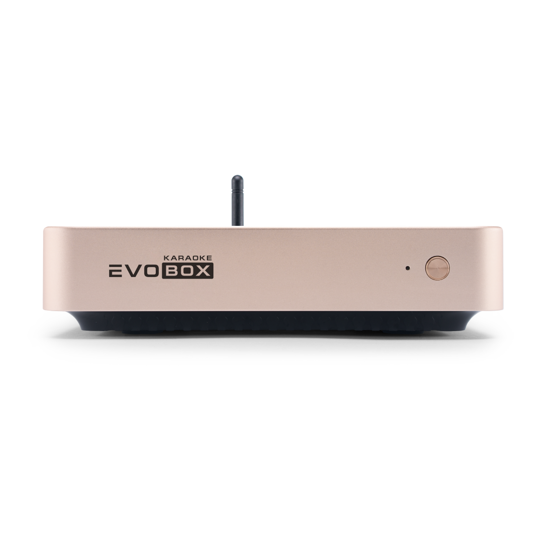 Караоке-система Evolution EVOBOX Classic Gold - 2