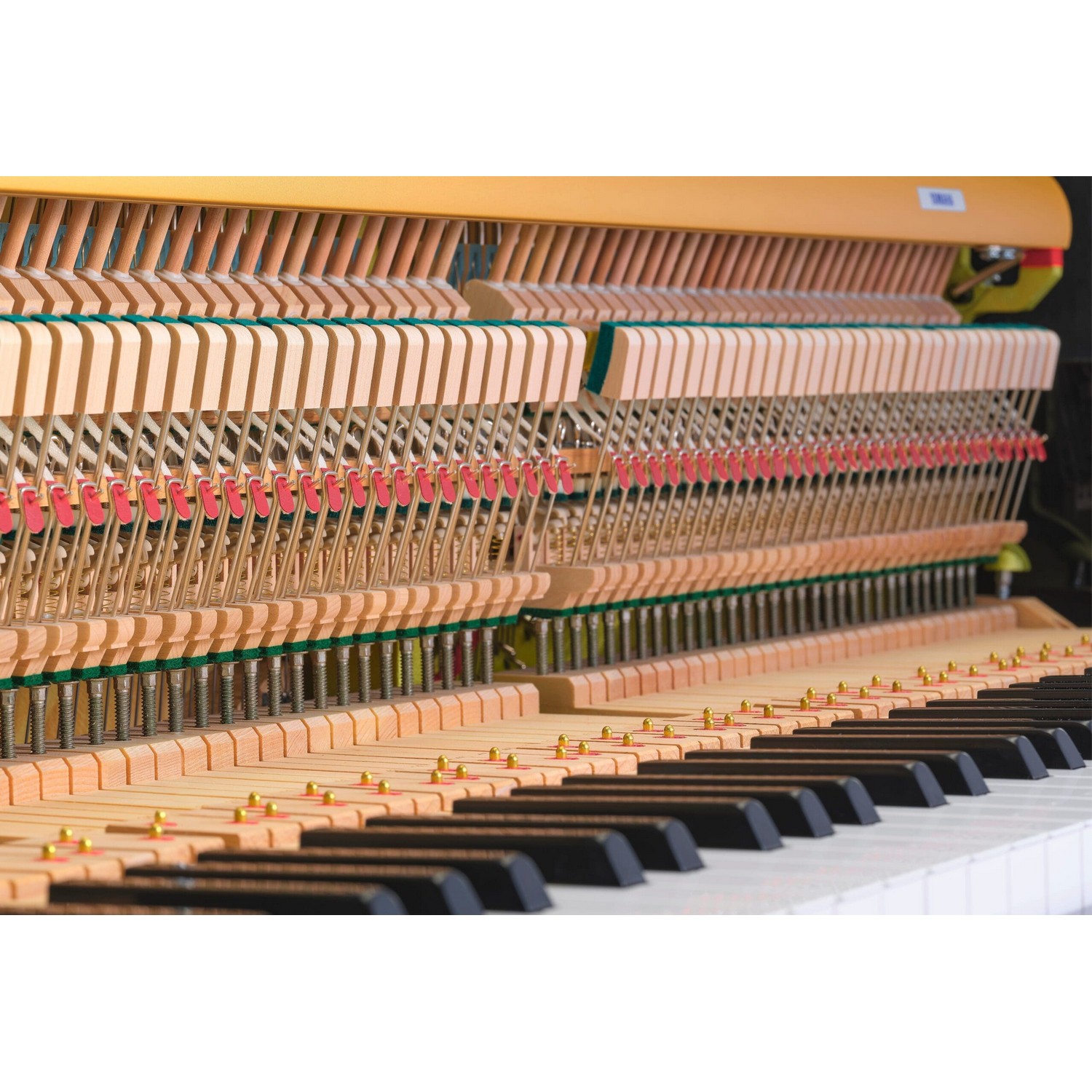 Гибридное сайлент пианино Yamaha B20 SC3 PE - 15