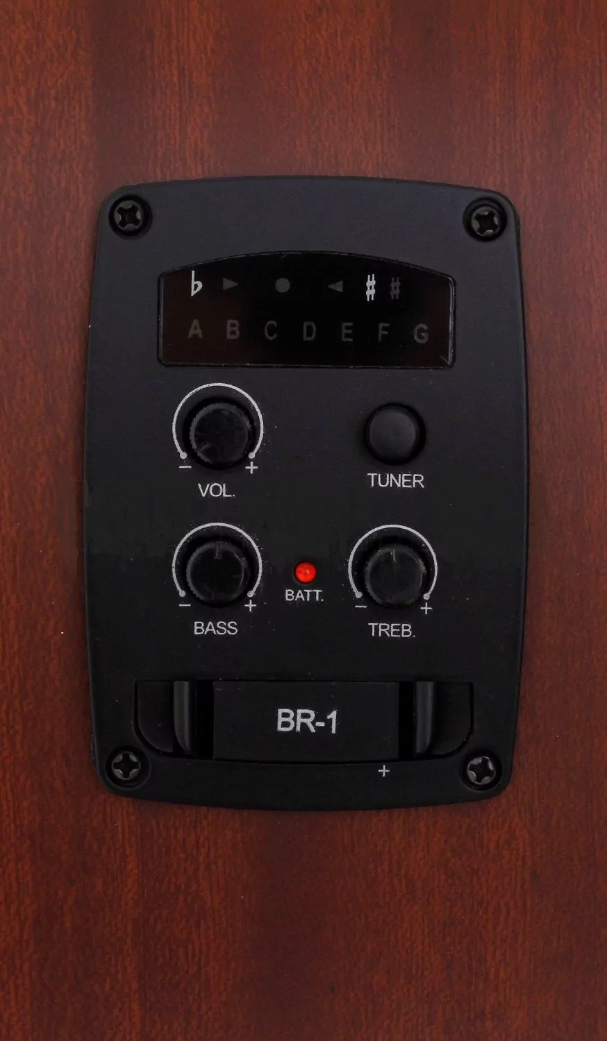 Электроакустическая гитара Baton Rouge L1LS/DCE - 8