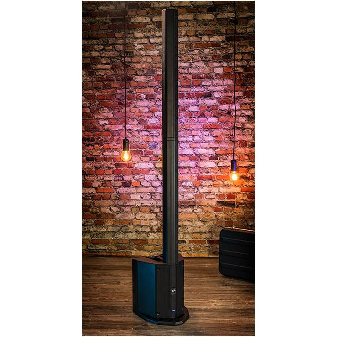 Активная акустическая система Peavey LN 1263 - 9