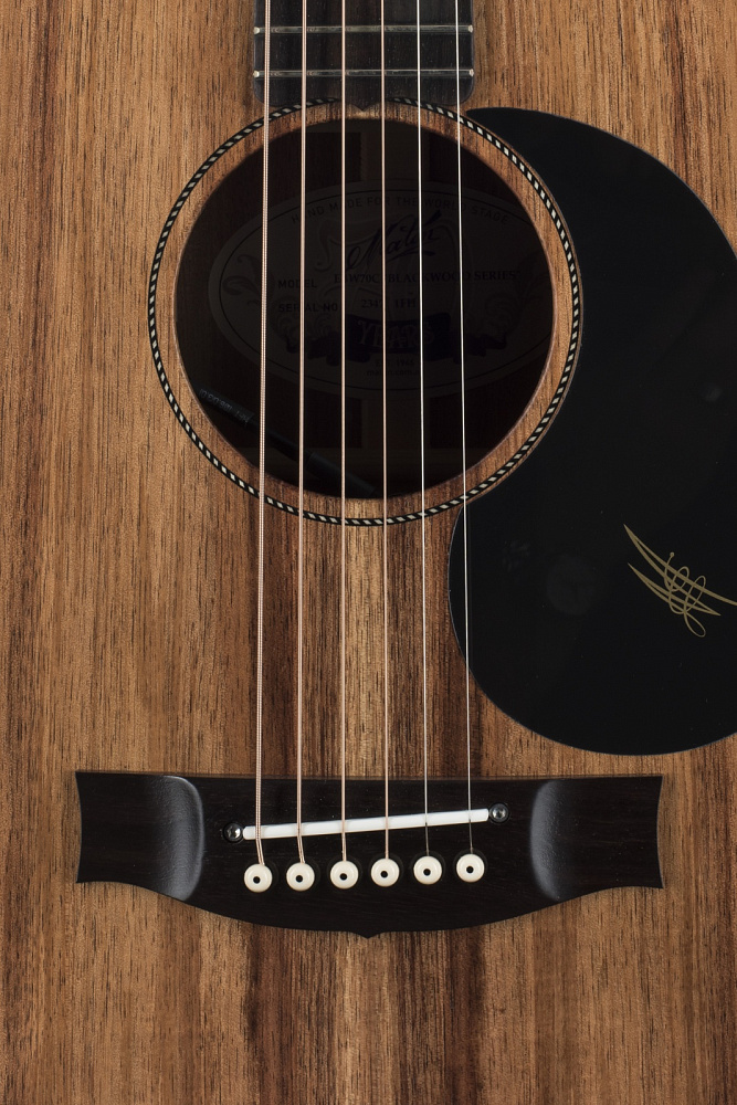 Электроакустическая гитара Maton EBW70C - 12